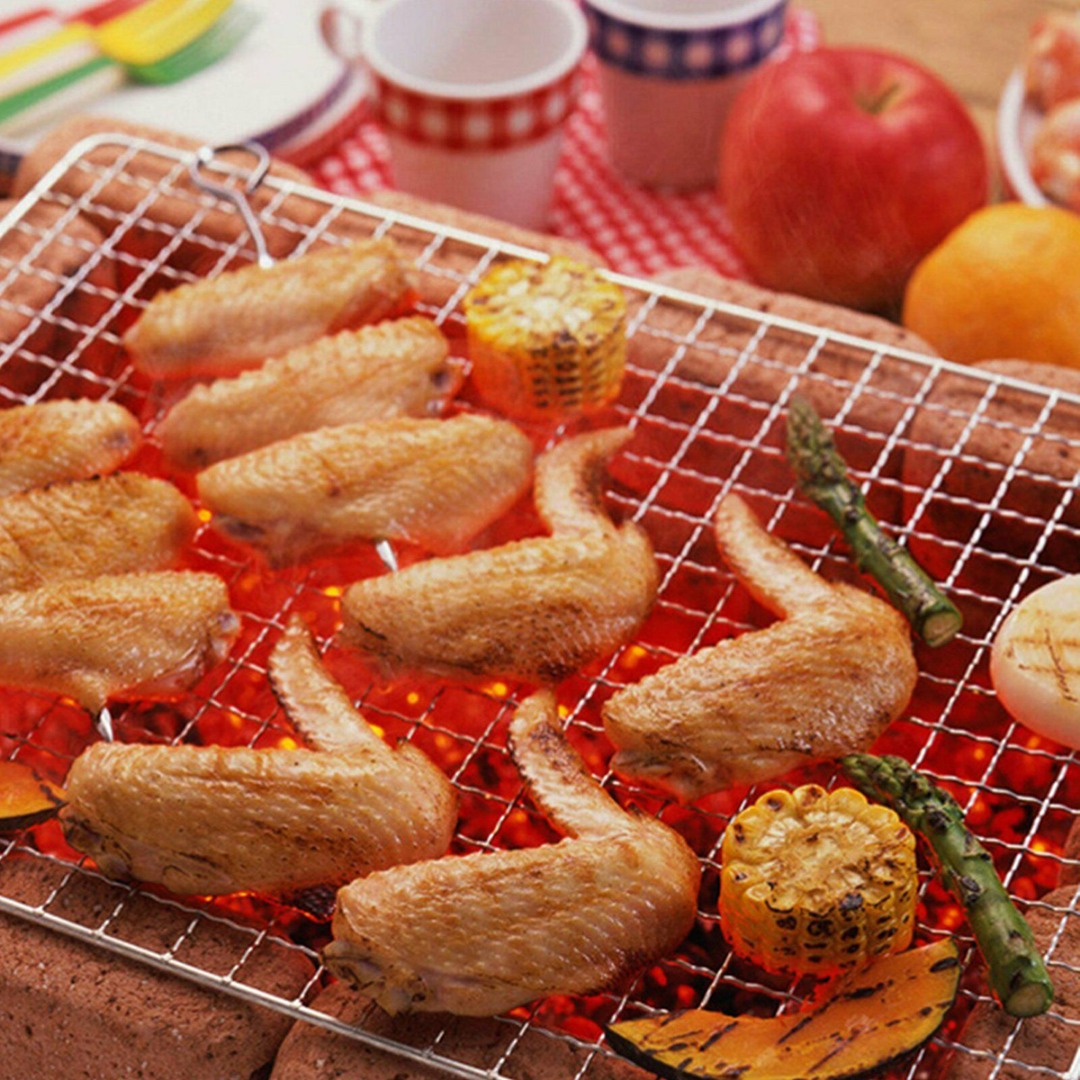 1pcs/2pcs 50 * 38cm BBQ Grill  - Camping Cooking Mesh recension och pris