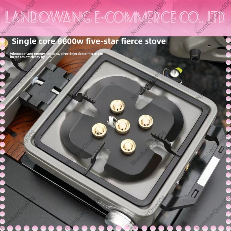 Outdoor Dual Burner High Power - Camping Cooking Appliances recension och pris